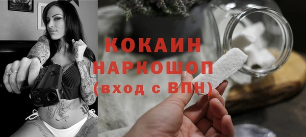 шишки Ладушкин