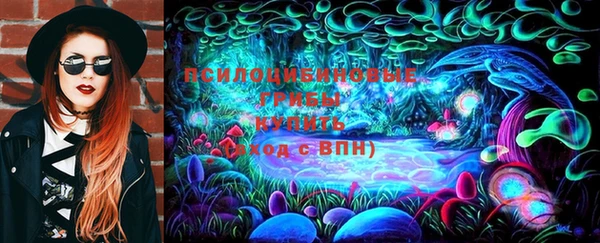 гидропоника Кулебаки