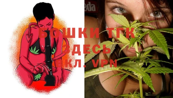 шишки Ладушкин