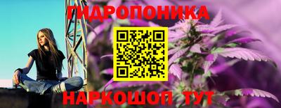 амф Волжский