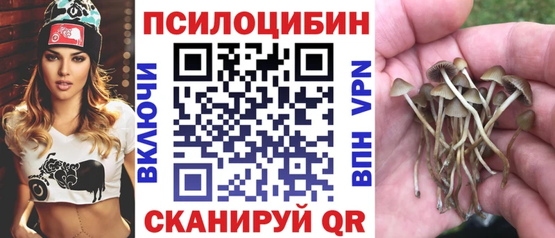 цены наркотик  Малгобек  Галлюциногенные грибы Magic Shrooms 