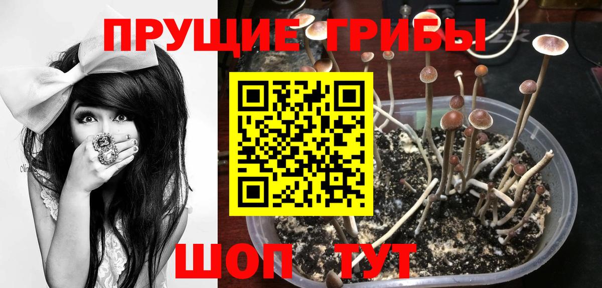 Псилоцибиновые грибы Magic Shrooms Малгобек